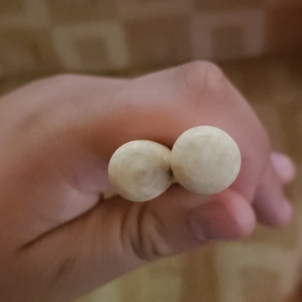 Drum sticks